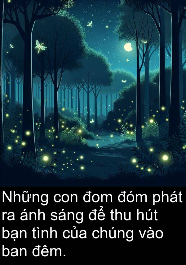 thu: Những con đom đóm phát ra ánh sáng để thu hút bạn tình của chúng vào ban đêm.