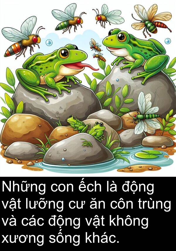 xương: Những con ếch là động vật lưỡng cư ăn côn trùng và các động vật không xương sống khác.