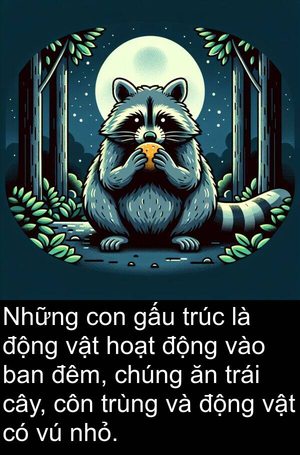 trúc: Những con gấu trúc là động vật hoạt động vào ban đêm, chúng ăn trái cây, côn trùng và động vật có vú nhỏ.