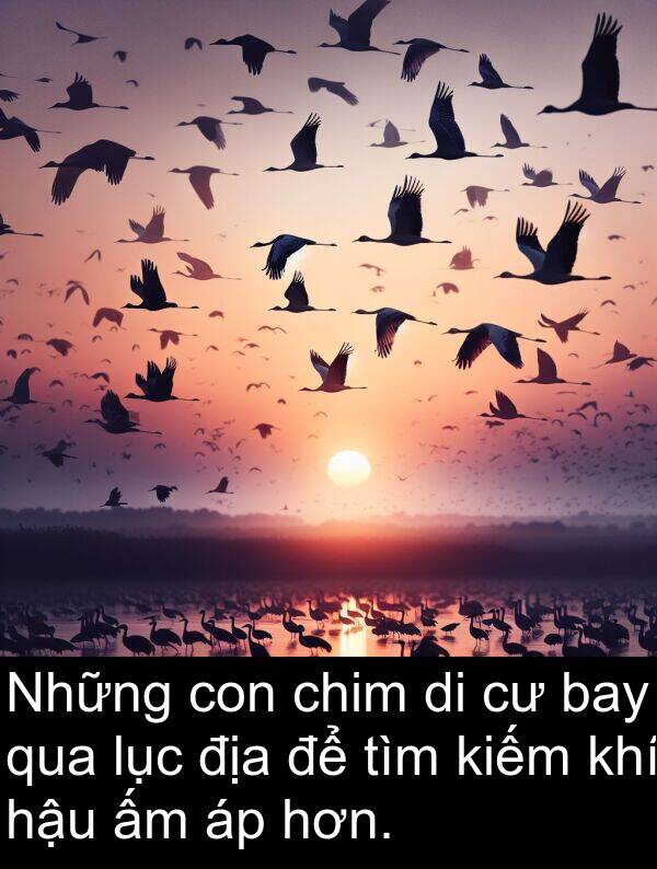 chim: Những con chim di cư bay qua lục địa để tìm kiếm khí hậu ấm áp hơn.