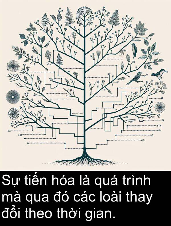 thay: Sự tiến hóa là quá trình mà qua đó các loài thay đổi theo thời gian.