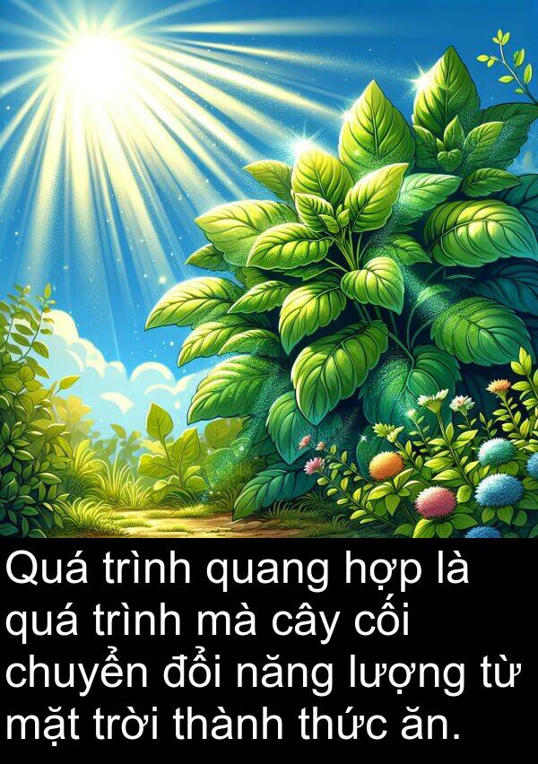 cối: Quá trình quang hợp là quá trình mà cây cối chuyển đổi năng lượng từ mặt trời thành thức ăn.