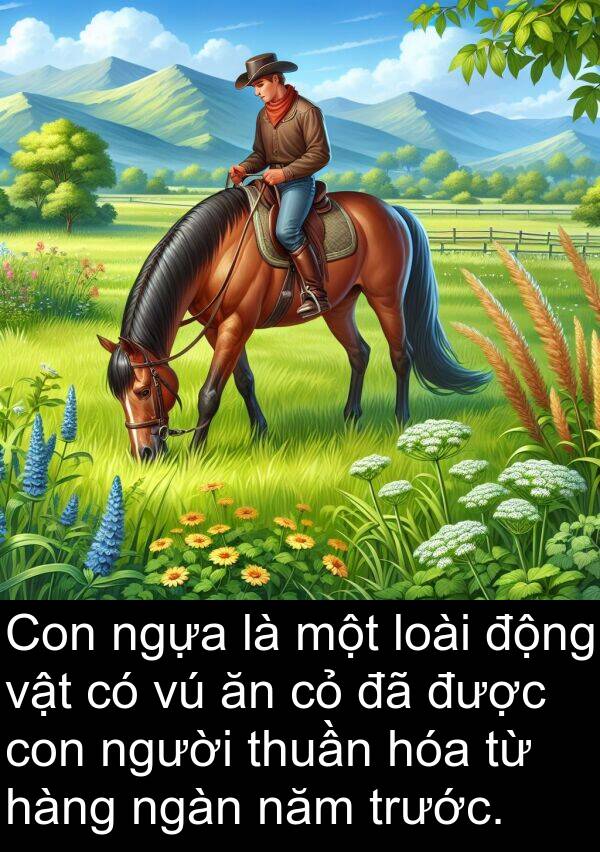 ngàn: Con ngựa là một loài động vật có vú ăn cỏ đã được con người thuần hóa từ hàng ngàn năm trước.