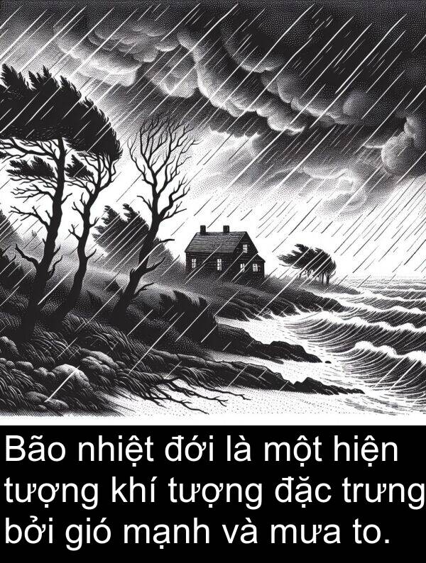 to: Bão nhiệt đới là một hiện tượng khí tượng đặc trưng bởi gió mạnh và mưa to.