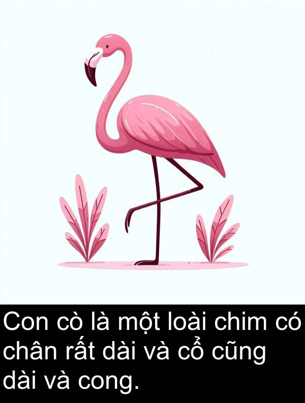 cũng: Con cò là một loài chim có chân rất dài và cổ cũng dài và cong.