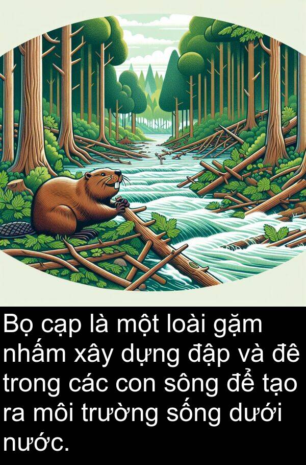 sông: Bọ cạp là một loài gặm nhấm xây dựng đập và đê trong các con sông để tạo ra môi trường sống dưới nước.