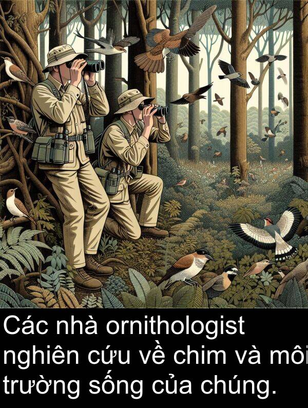 môi: Các nhà ornithologist nghiên cứu về chim và môi trường sống của chúng.