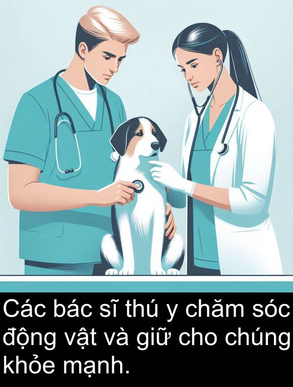 sóc: Các bác sĩ thú y chăm sóc động vật và giữ cho chúng khỏe mạnh.