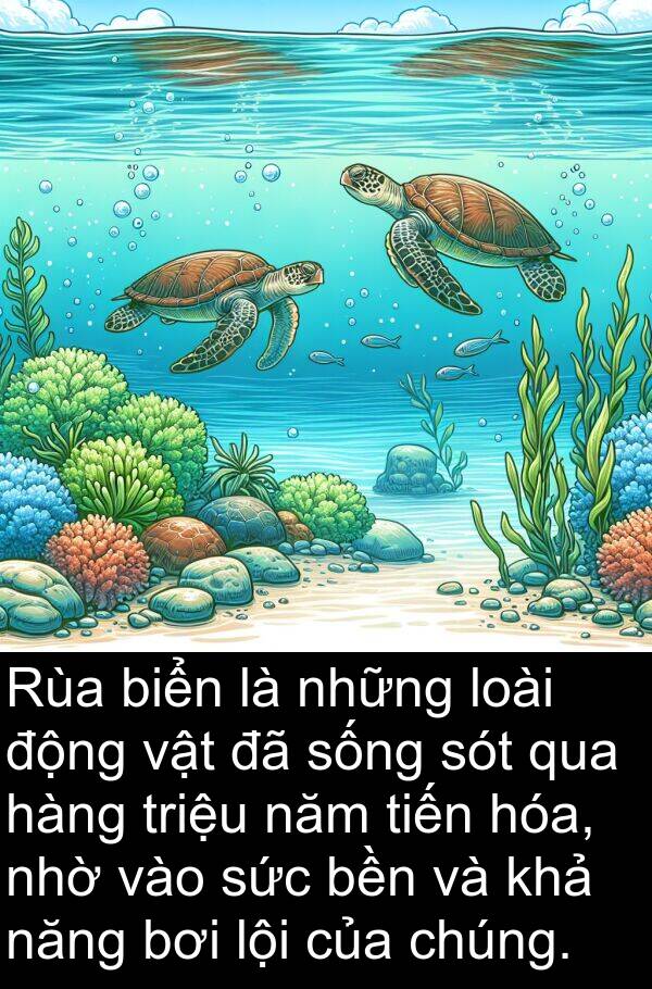 sót: Rùa biển là những loài động vật đã sống sót qua hàng triệu năm tiến hóa, nhờ vào sức bền và khả năng bơi lội của chúng.