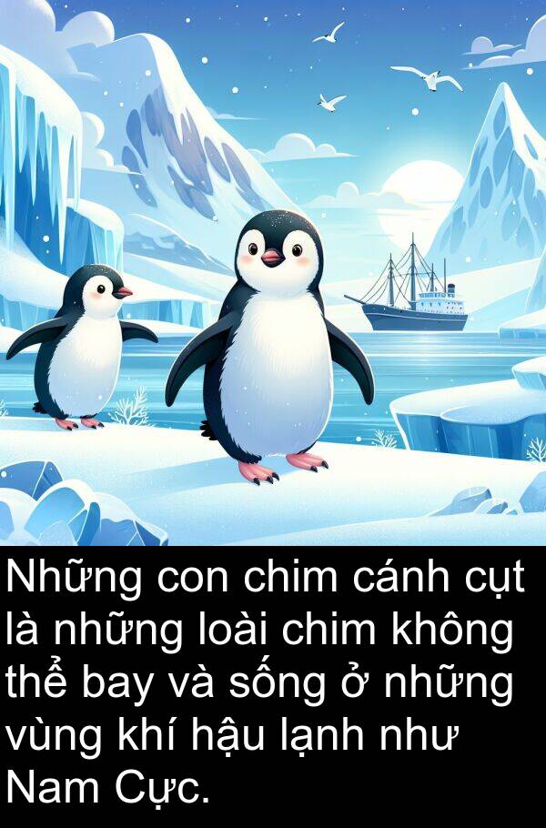 cụt: Những con chim cánh cụt là những loài chim không thể bay và sống ở những vùng khí hậu lạnh như Nam Cực.