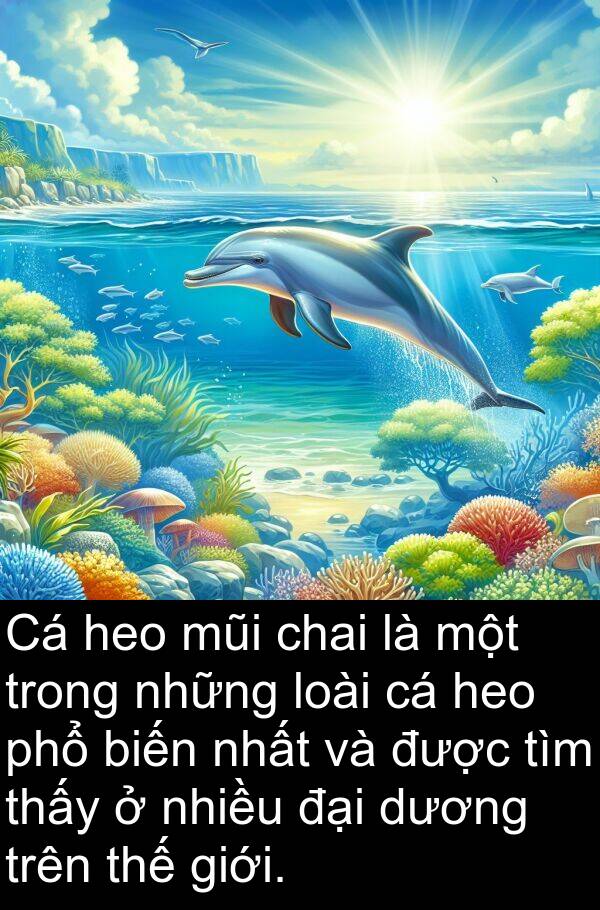 phổ: Cá heo mũi chai là một trong những loài cá heo phổ biến nhất và được tìm thấy ở nhiều đại dương trên thế giới.