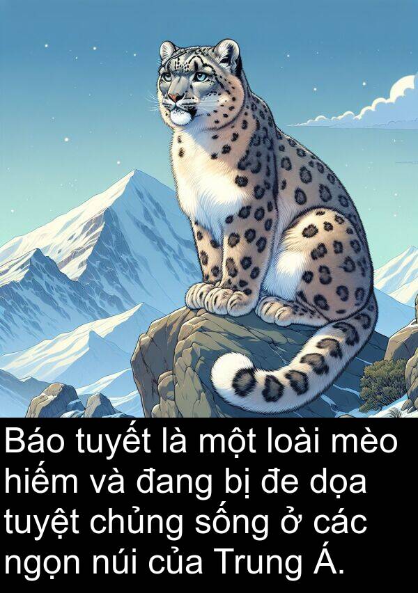 ngọn: Báo tuyết là một loài mèo hiếm và đang bị đe dọa tuyệt chủng sống ở các ngọn núi của Trung Á.