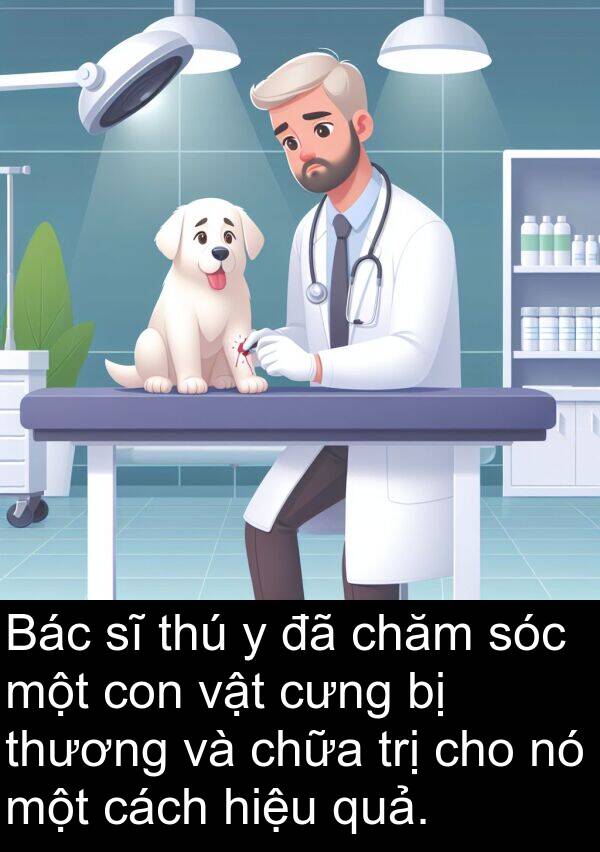 trị: Bác sĩ thú y đã chăm sóc một con vật cưng bị thương và chữa trị cho nó một cách hiệu quả.