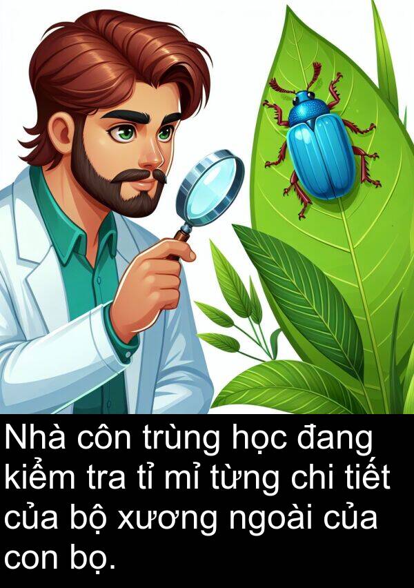 xương: Nhà côn trùng học đang kiểm tra tỉ mỉ từng chi tiết của bộ xương ngoài của con bọ.