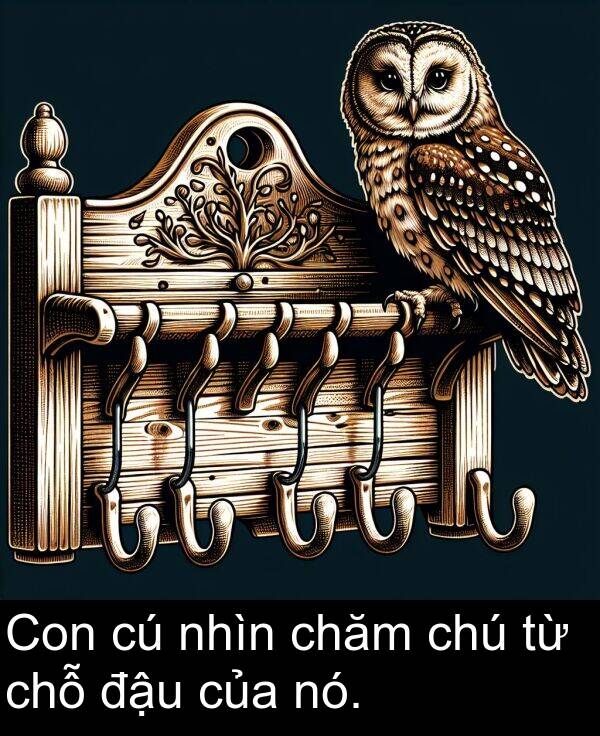 chỗ: Con cú nhìn chăm chú từ chỗ đậu của nó.