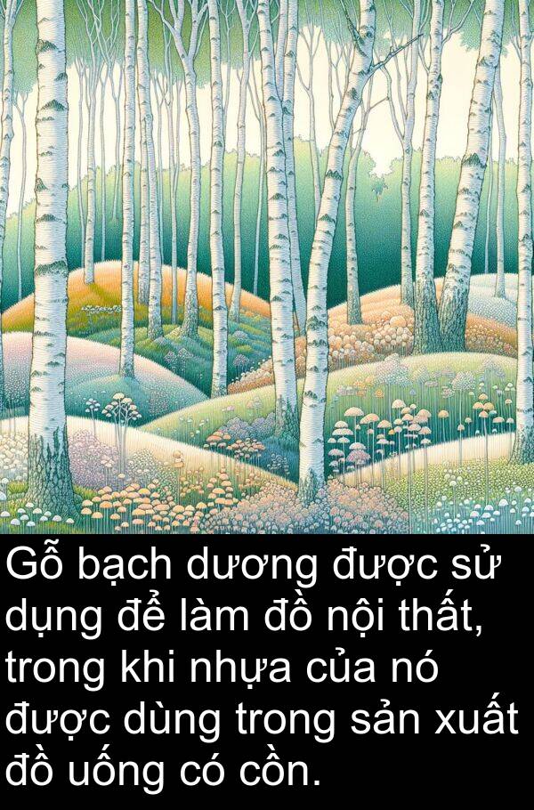 nội: Gỗ bạch dương được sử dụng để làm đồ nội thất, trong khi nhựa của nó được dùng trong sản xuất đồ uống có cồn.