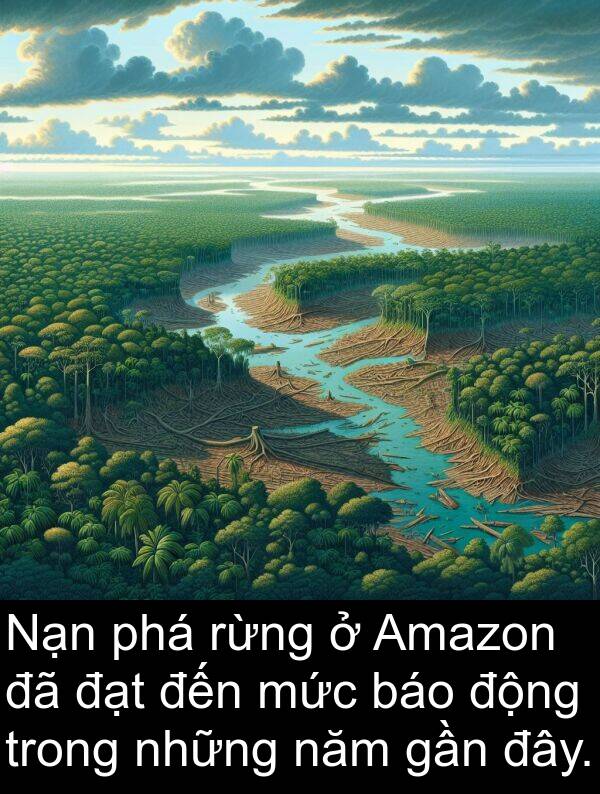 năm: Nạn phá rừng ở Amazon đã đạt đến mức báo động trong những năm gần đây.