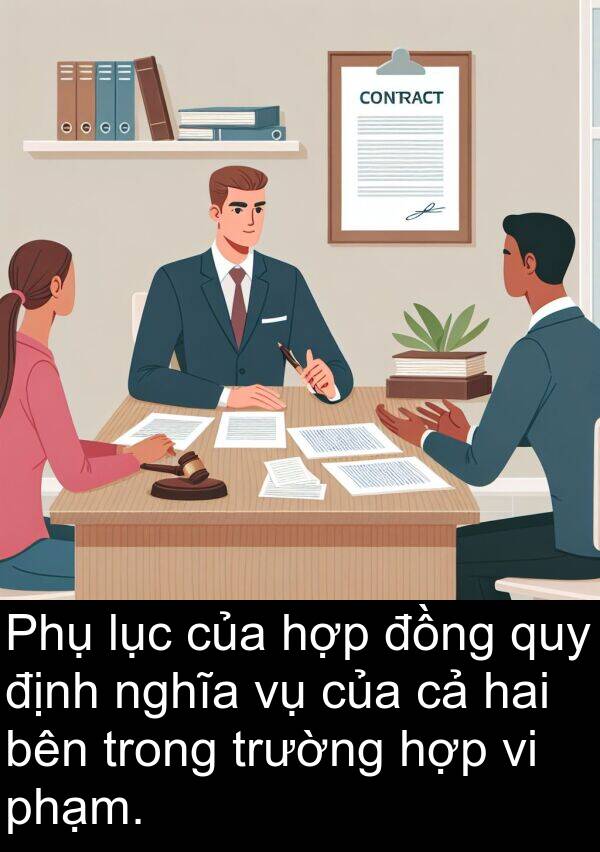 phạm: Phụ lục của hợp đồng quy định nghĩa vụ của cả hai bên trong trường hợp vi phạm.