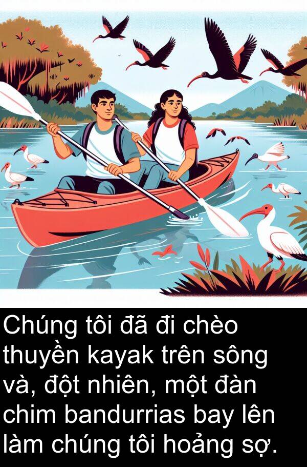 thuyền: Chúng tôi đã đi chèo thuyền kayak trên sông và, đột nhiên, một đàn chim bandurrias bay lên làm chúng tôi hoảng sợ.