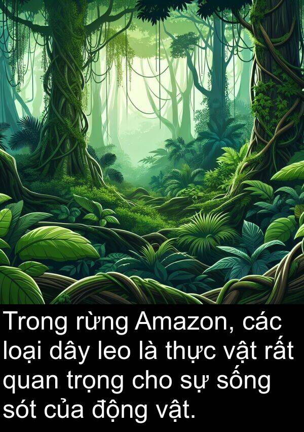 sót: Trong rừng Amazon, các loại dây leo là thực vật rất quan trọng cho sự sống sót của động vật.