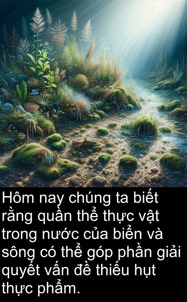 sông: Hôm nay chúng ta biết rằng quần thể thực vật trong nước của biển và sông có thể góp phần giải quyết vấn đề thiếu hụt thực phẩm.