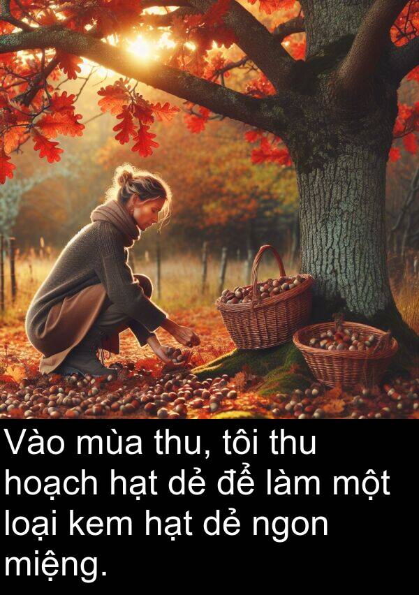 thu: Vào mùa thu, tôi thu hoạch hạt dẻ để làm một loại kem hạt dẻ ngon miệng.